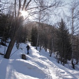 Ascent through sparse forest