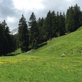 Autour du Grep da Plaids (oua_56874377_image)