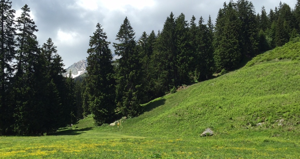 Rund um den Grep da Plaids (oua_56874377_image)