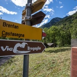 Percorso didattico della castagna (oua_56877998_image)