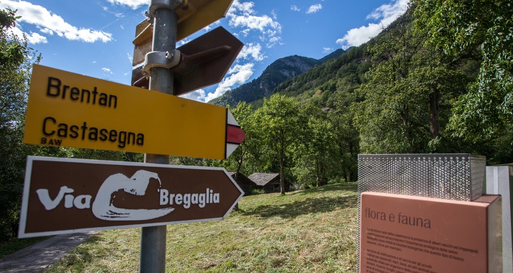 Kastanienlehrpfad Castasegna (oua_56877998_image)