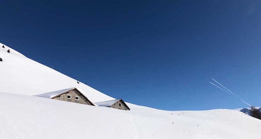 matossi.ch (oua_56888218_image)