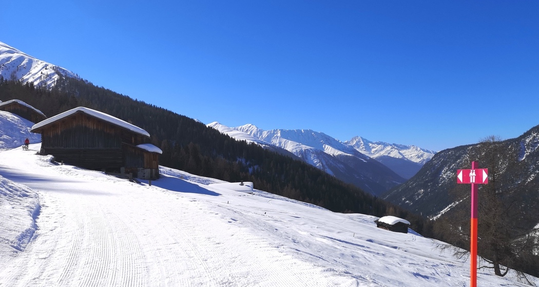 Rinerhorn (oua_57013360_image)