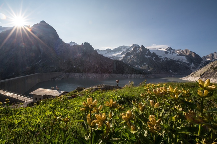 Albigna Staumauer (oua_57059042_image)