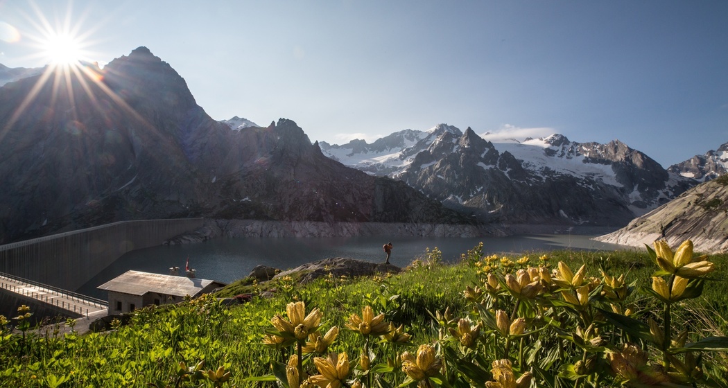 Albigna Staumauer (oua_57059042_image)