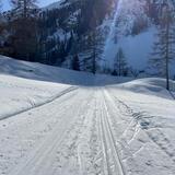 Dischma Uphill (oua_57062445_image)