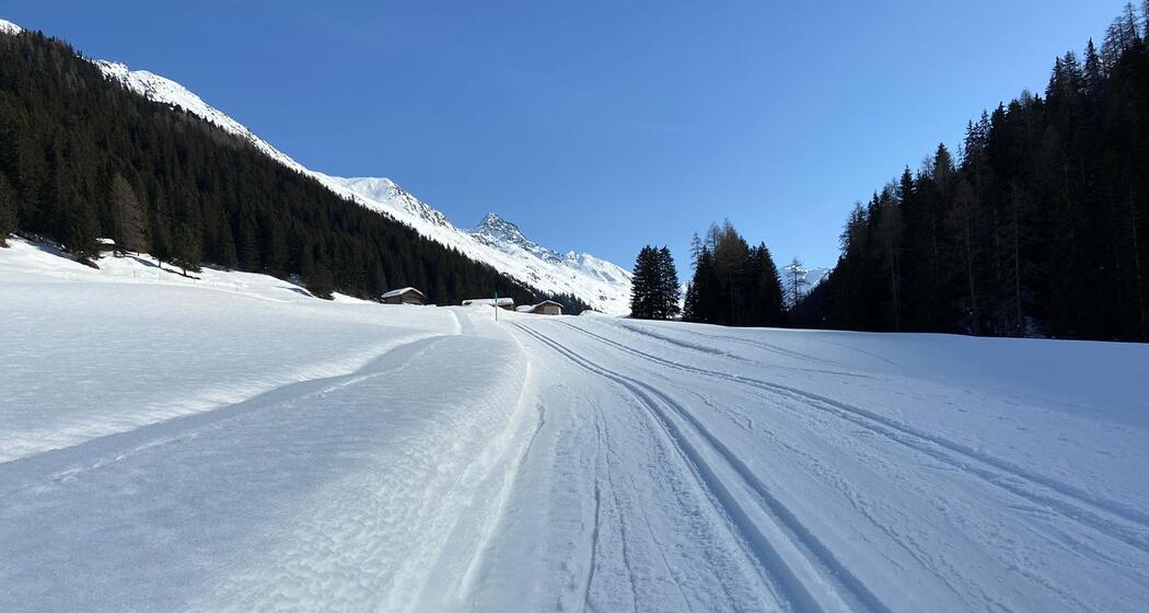 Dischma Uphill (oua_57062446_image)