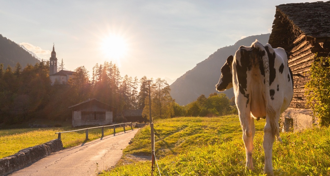 Kinderwagengerecht: Vicosoprano - Promontogno (oua_57092924_image)