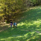 Stampa - Soglio - Castasegna (oua_57092925_image)