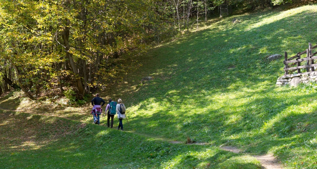 Stampa - Soglio - Castasegna (oua_57092925_image)
