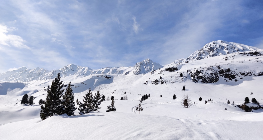 Baslersch Chopf (oua_57250107_image)