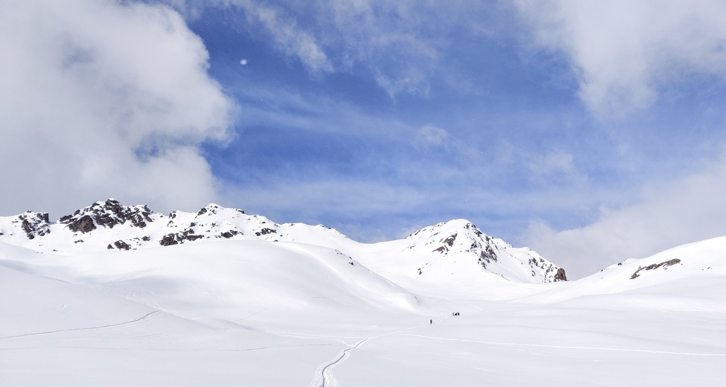 Baslersch Chopf (oua_57250109_image)