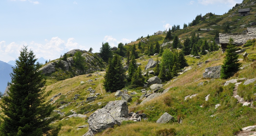 Die Überquerung des Passes da la Duana (oua_57342682_image)