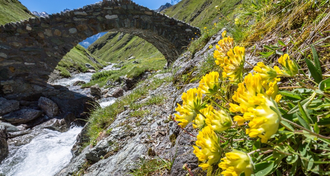 Über den Septimerpass (oua_57342866_image)