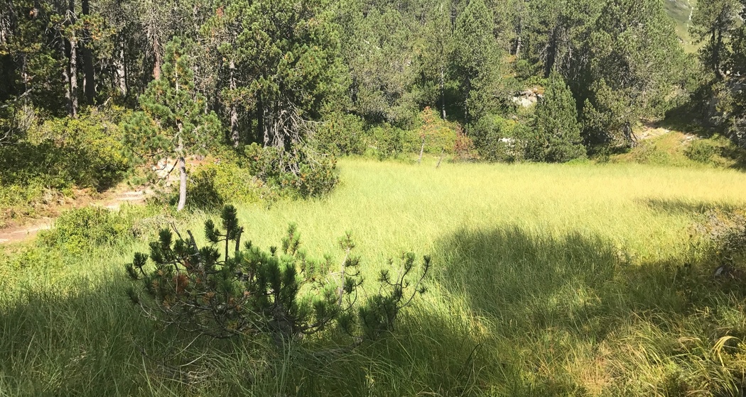 Der Malögin (oua_57343553_image)