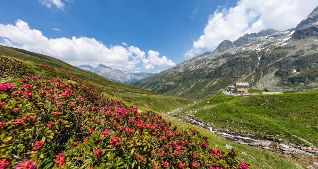 Frühling auf dem Splügenpass