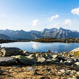 Bergseeli Splügenpass