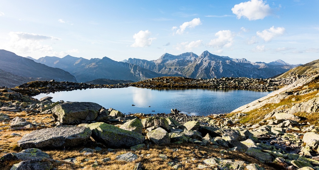 Bergseeli Splügenpass