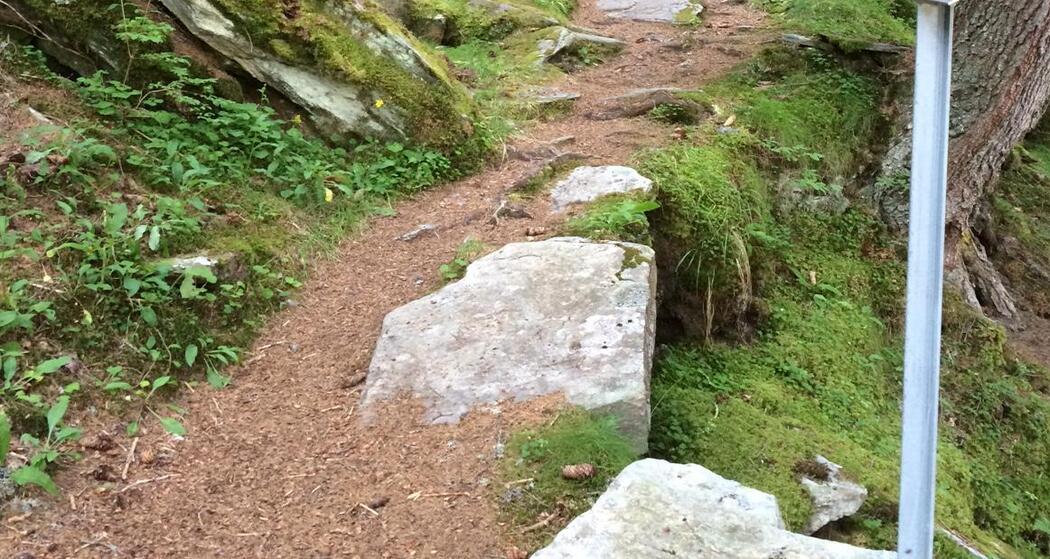 Vals - Alter Zerfreilaweg - Zerfreila (oua_57379614_image)