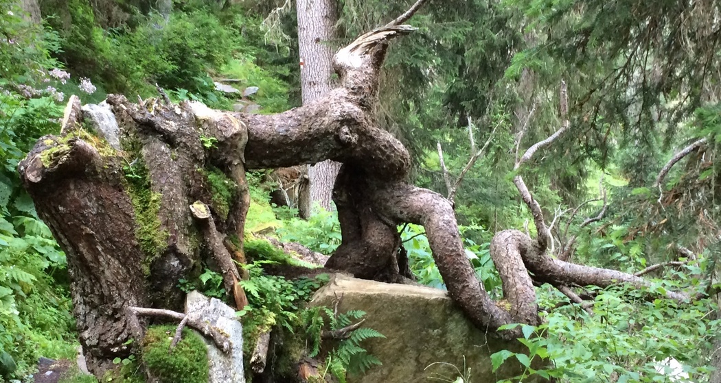 Vals - Alter Zerfreilaweg - Zerfreila (oua_57379615_image)