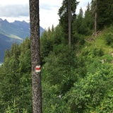 Singletrail zum See
