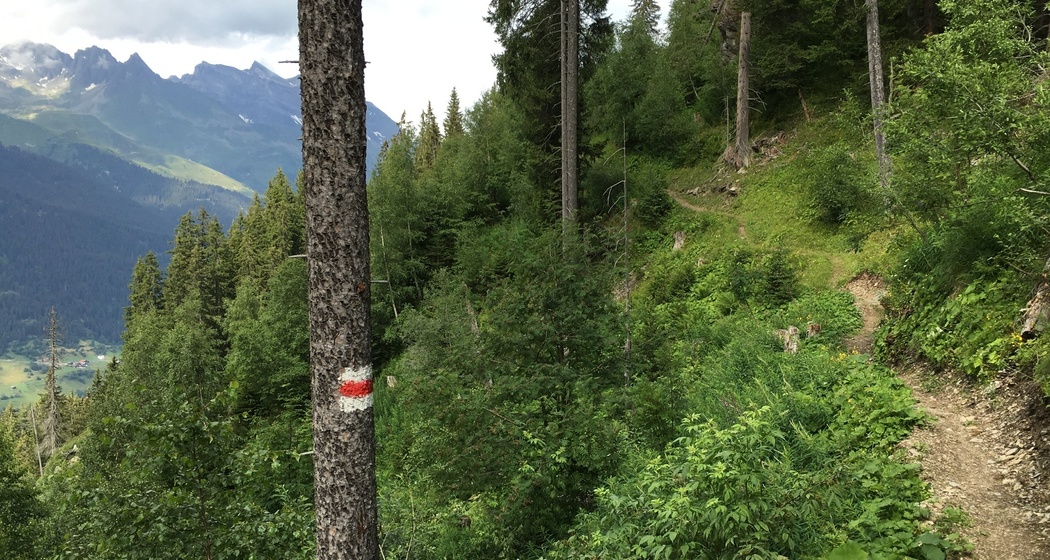 Singletrail zum See