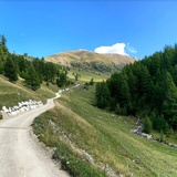 Alpweg zur Alp Arpiglia