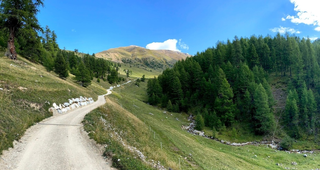 Alpweg zur Alp Arpiglia