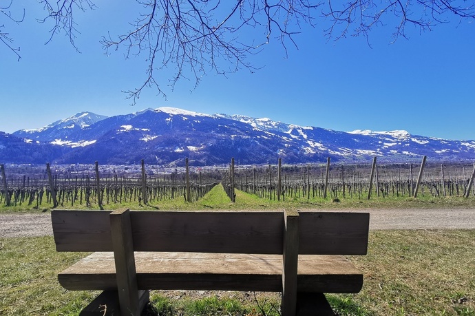 Lettini prendisole durante l'escursione enologica a Fläsch