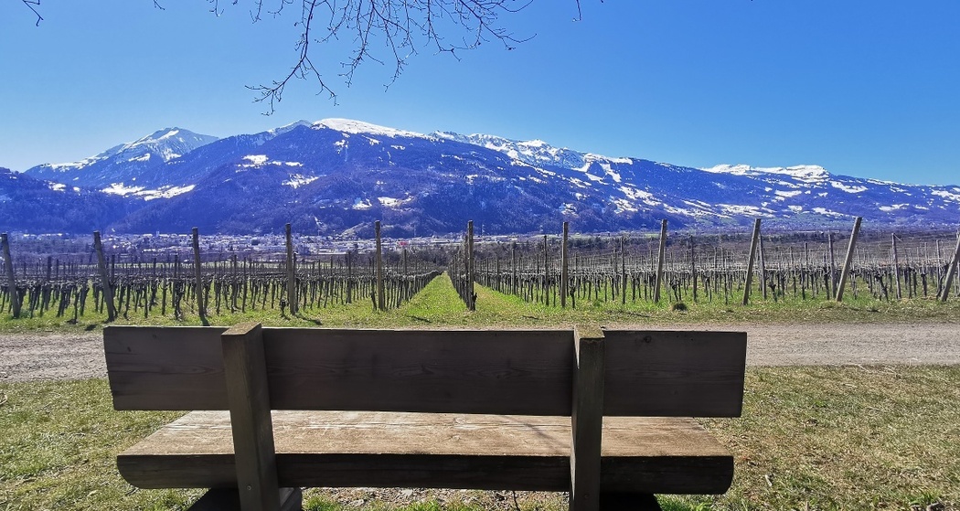 Sonnenbänkli auf der Weinwanderung in Fläsch