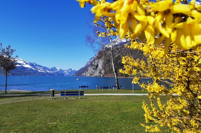 Sunbeds at Lake Walen