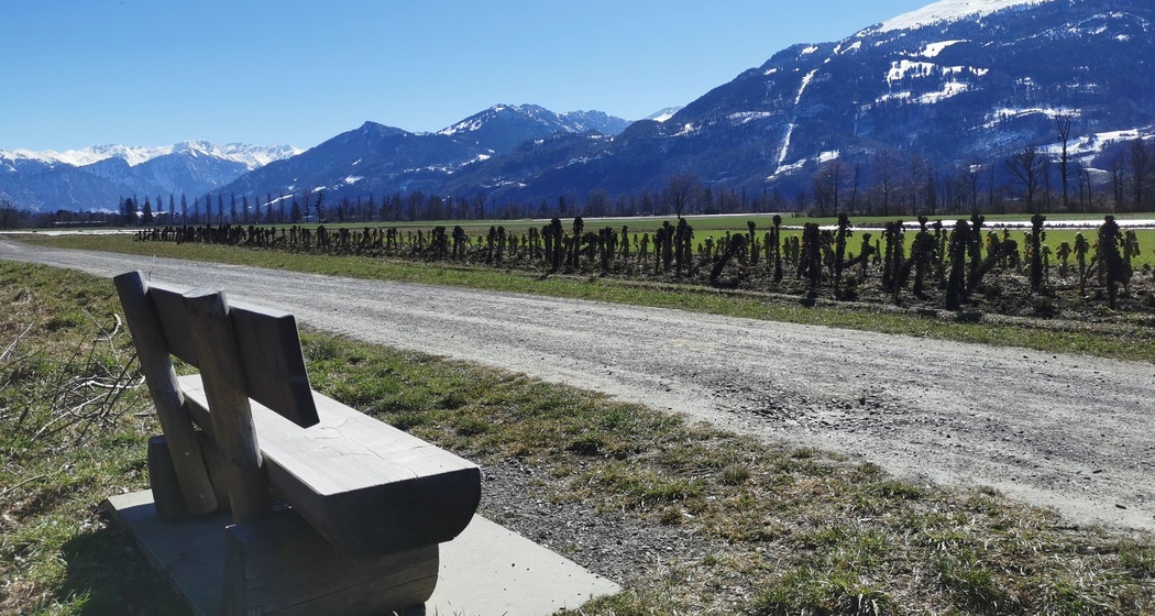 Sonnenbänkli am Rhiwald