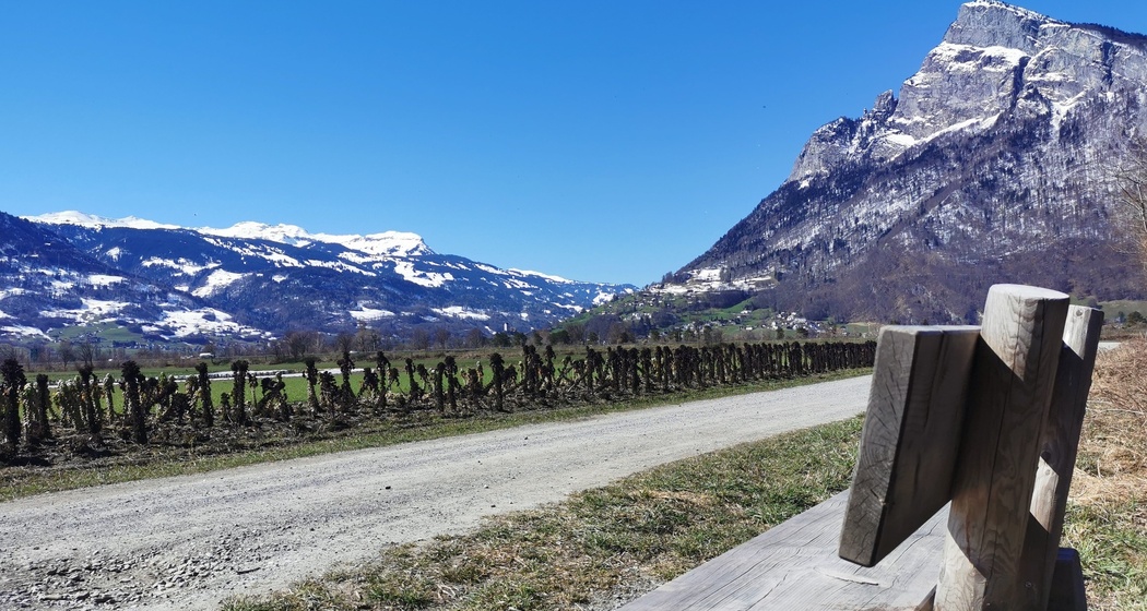 Sonnenbänkli Rheinau