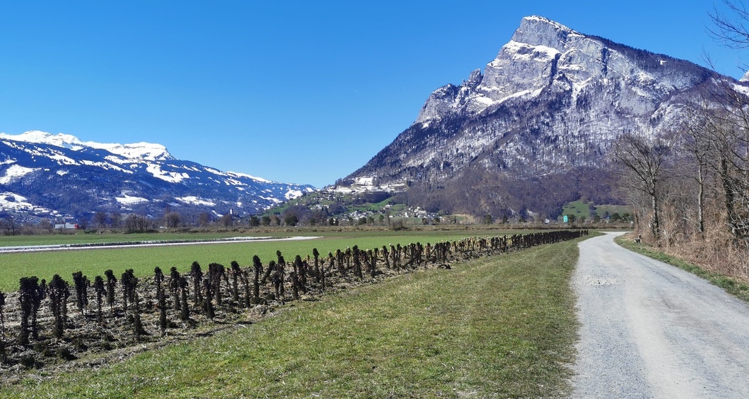 Spazierweg mit Blick zum Gonzen