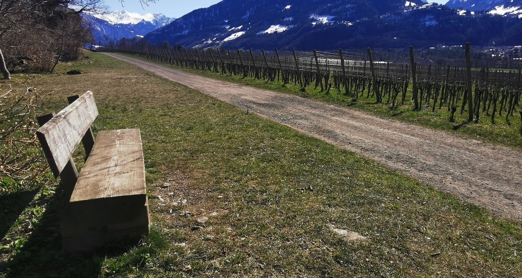 Sonnenbänkli im Wingert