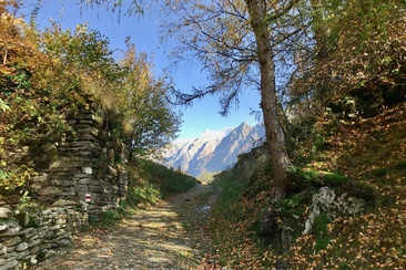 Lan Müraia (oua_57555121_image)