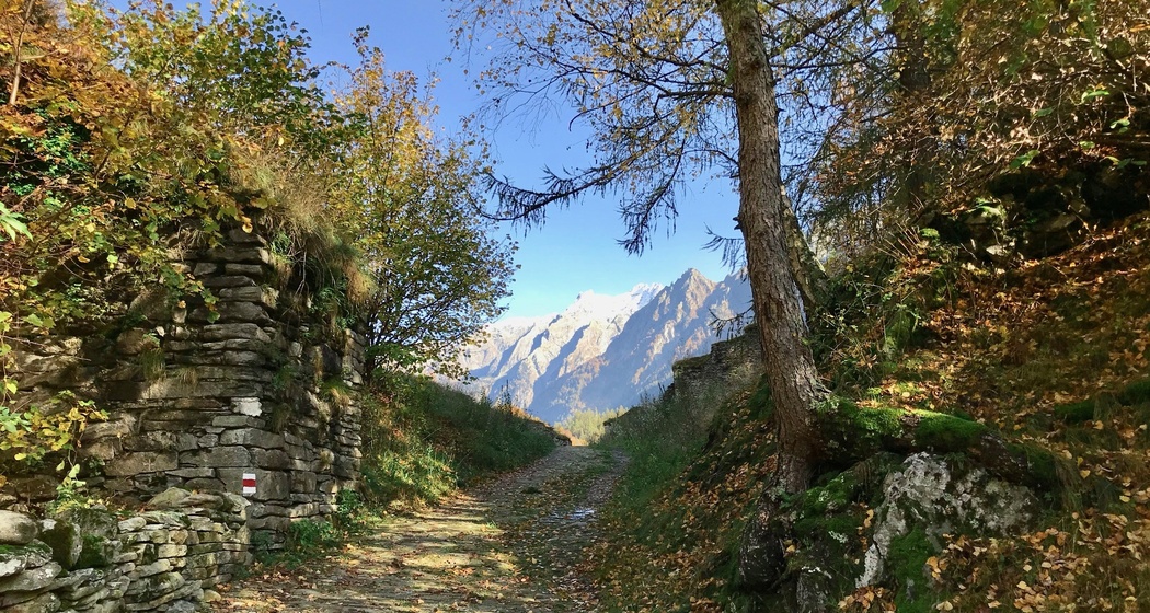 Lan Müraia e Nossa Dona (oua_57555121_image)