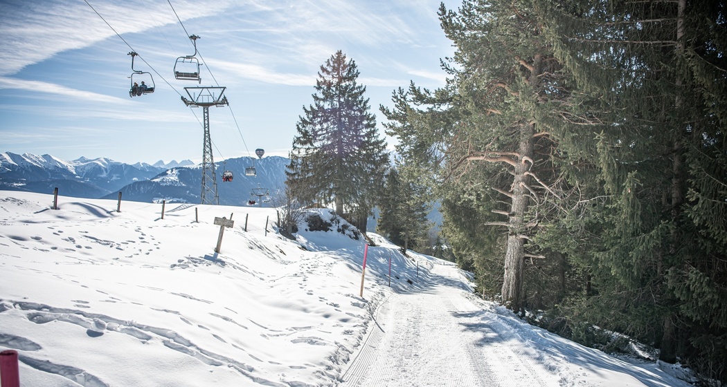 1 Flims Dorf - Spalegna - Fidaz (oua_57689191_image)