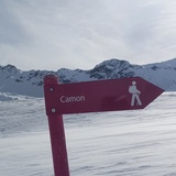 Bivio - Camon - Bivio (oua_57785421_image)