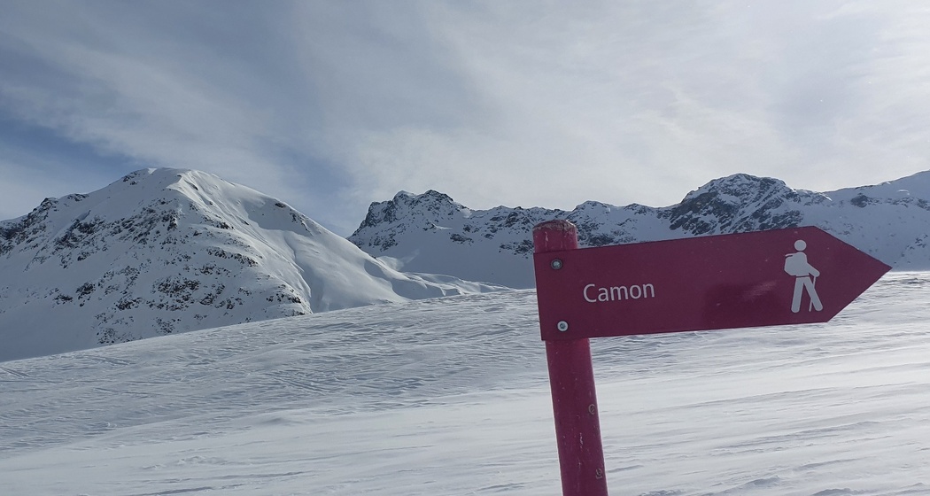 Bivio - Camon - Bivio (oua_57785421_image)