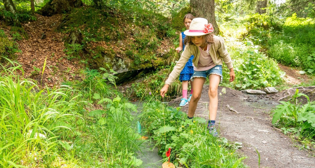 Connbächli - Trin Station (oua_57882850_image)