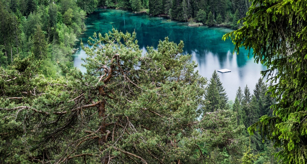 Flims Dorf - Felsbach - Trin Station (oua_57883344_image)