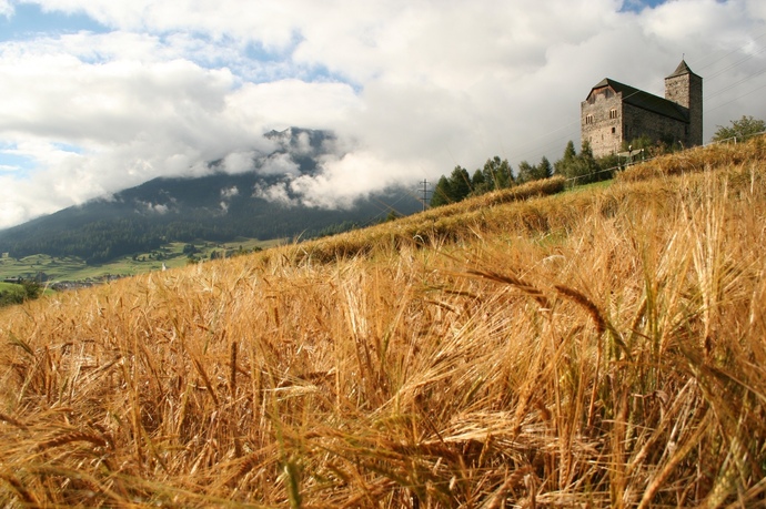 Burg Riom (oua_57910011_image)