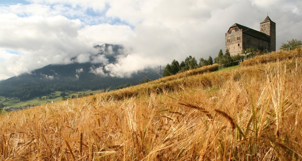 Burg Riom (oua_57910011_image)