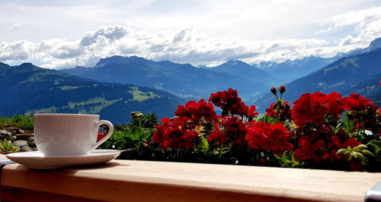 Quadera Beizli (oua_57911555_image)