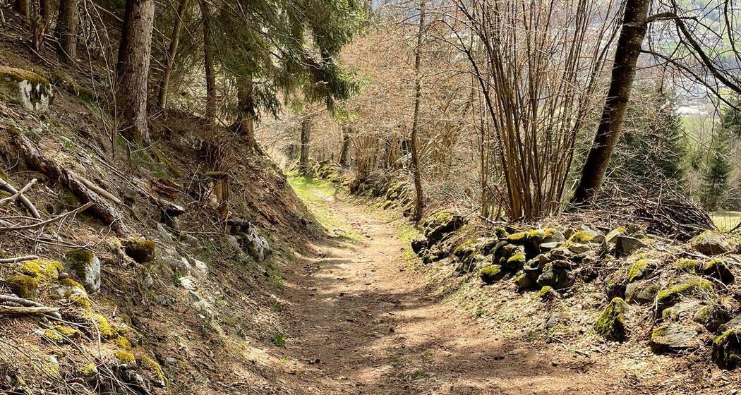 Falera - Valendas (oua_57964661_image)