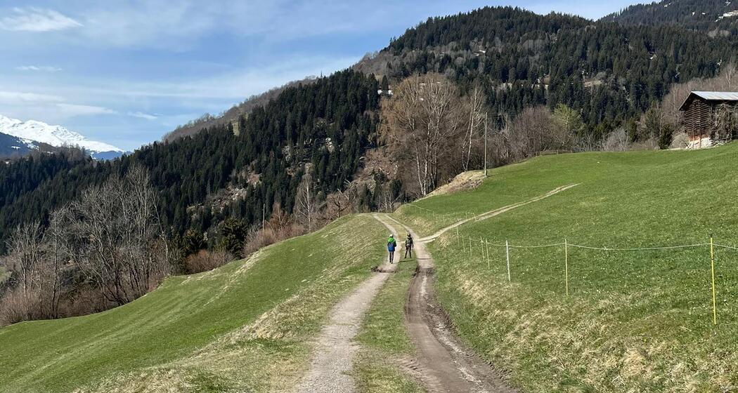 Falera - Valendas (oua_57964664_image)