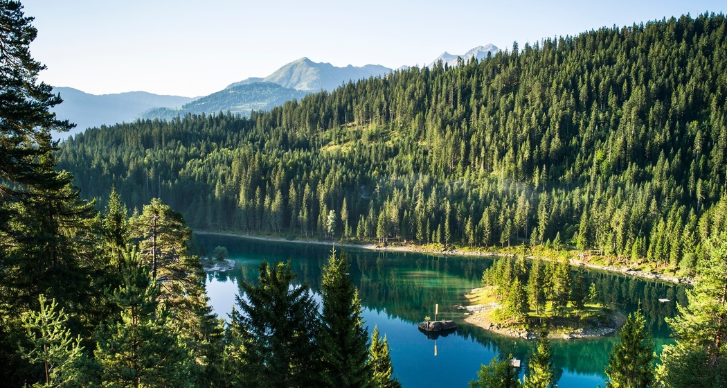 Rheinschlucht Wanderung: Tuora (656.3) (oua_57965335_image)