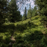 006.05 Alpenpässe-Weg - Ausserferrera – Splügen (oua_58055604_image)