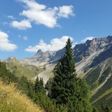 Val Tisch
